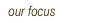 our focus